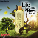 شامپو موی سر دکتر بیز حاوی روغن مورینگا ۳۰۰ میل ضد ریزش و تقویت کننده